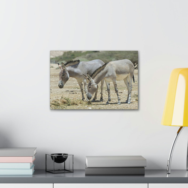 Wall Art on Canvas