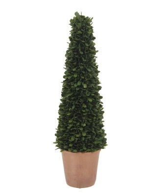 24" Artificial Boxwood Plant in Tapered Pot