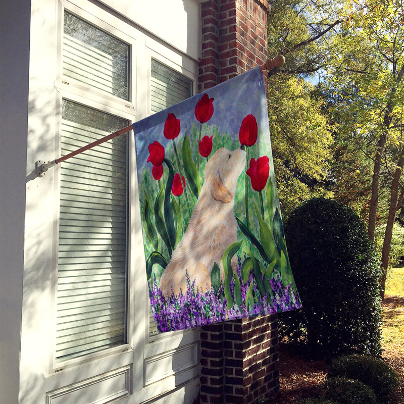 Mélange de polyester 2 côtés 40 x 28 po golden retriever drapeau maison