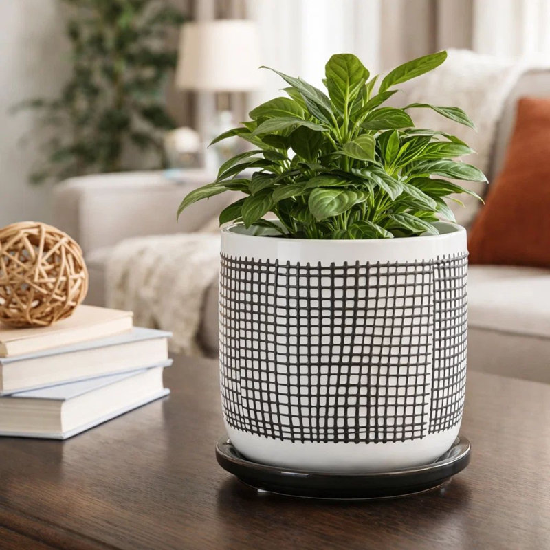 Jardinière d'intérieur en maille avec soucoupe, céramique blanche texturée 6 pouces