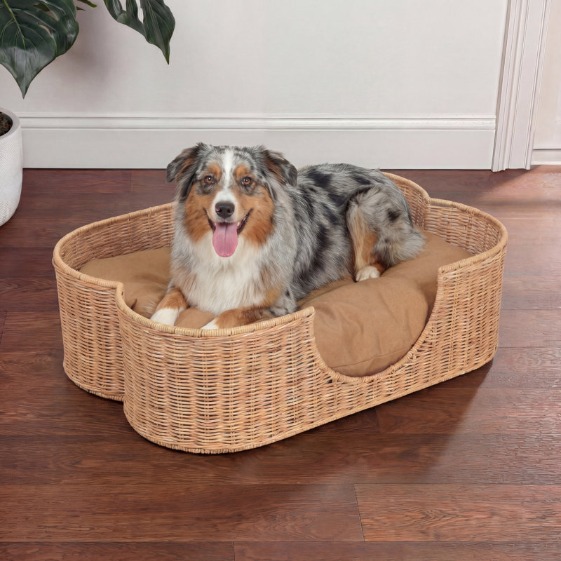 Lit pour chien en rotin tissé à la main avec coussin lavable à la machine Scallop, 9,5 po H x 31 po L x 20 po P, Marron clair