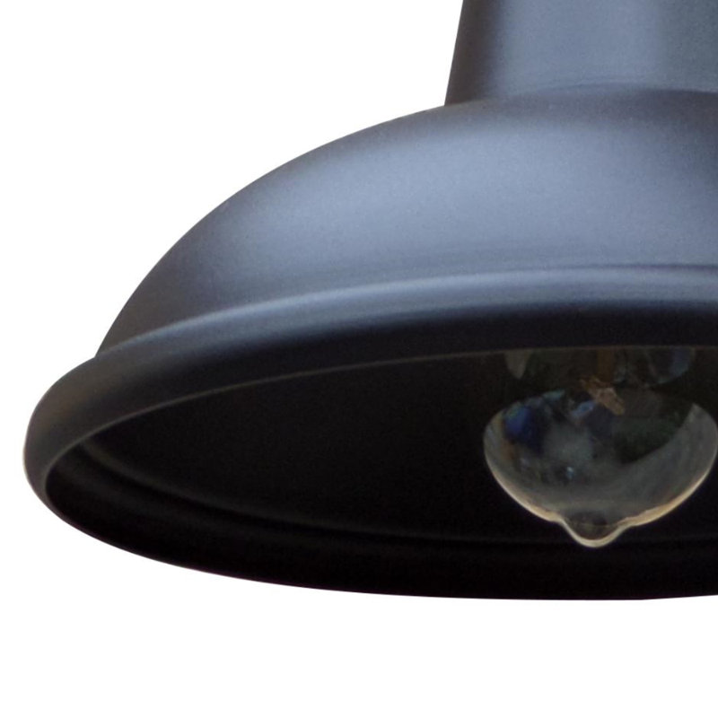 Evania Wall Light, Black