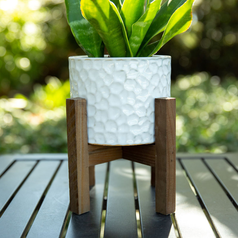 Orozco Ceramic Pot Planter