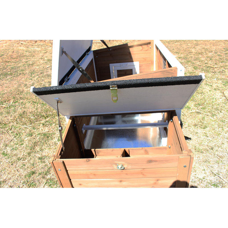 Brown and White Wooden Chicken Coop with Nesting Box