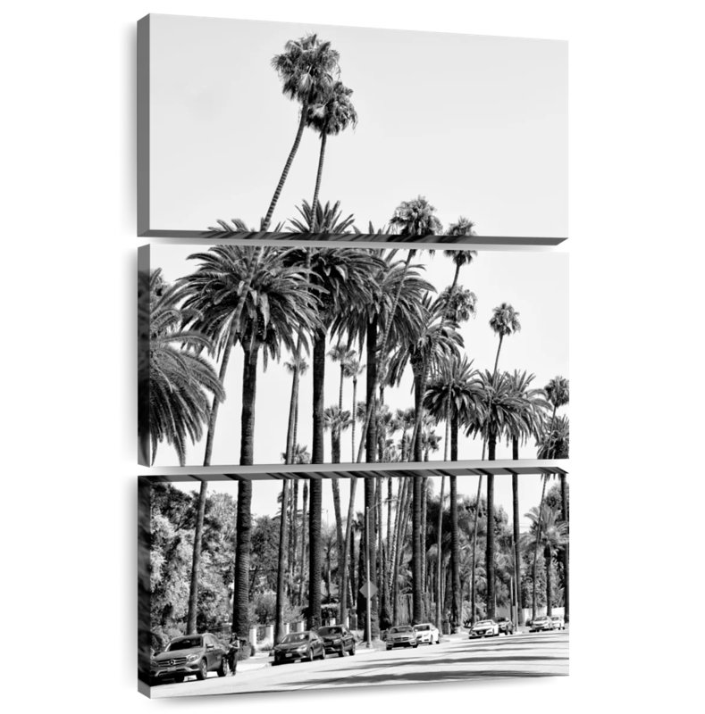 Palmiers de Sireci, Californie, Californie, H 32 po x l 20 po