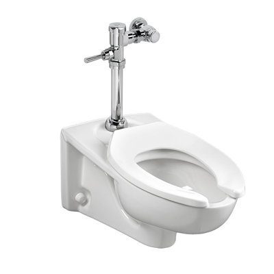Afwall Elongated Wall Mounted with Self-Cleaning Power (Seat Not Included)