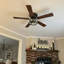 132.08cm Ceiling Fan with Light Kit-1680533898