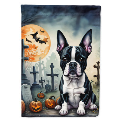 Double Sided 40'' H x 28'' W Polyester Halloween House Flag