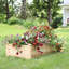 Lit de jardin surélevé d'extérieur en bois de sapin 4 pi x 2 pi Ferncliff