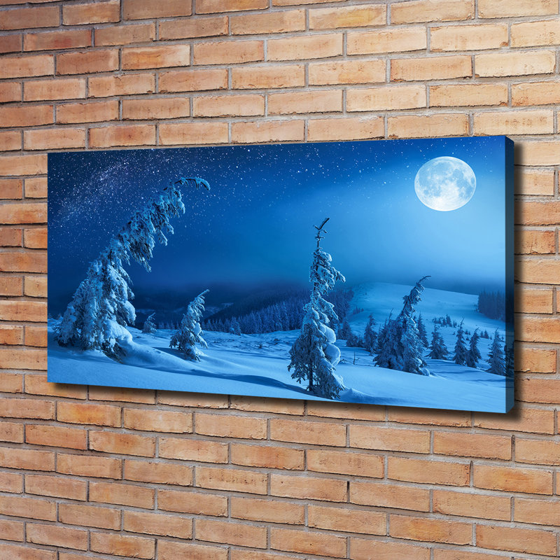 Moonlight - Wrapped Canvas Print