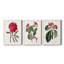 Ensemble de 3 peintures sur toile Roseat Blooms IV-1642987165-1642987162