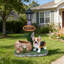 Jardinière Corgi Dog