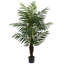 Palmier Charleca Areca-1960392808