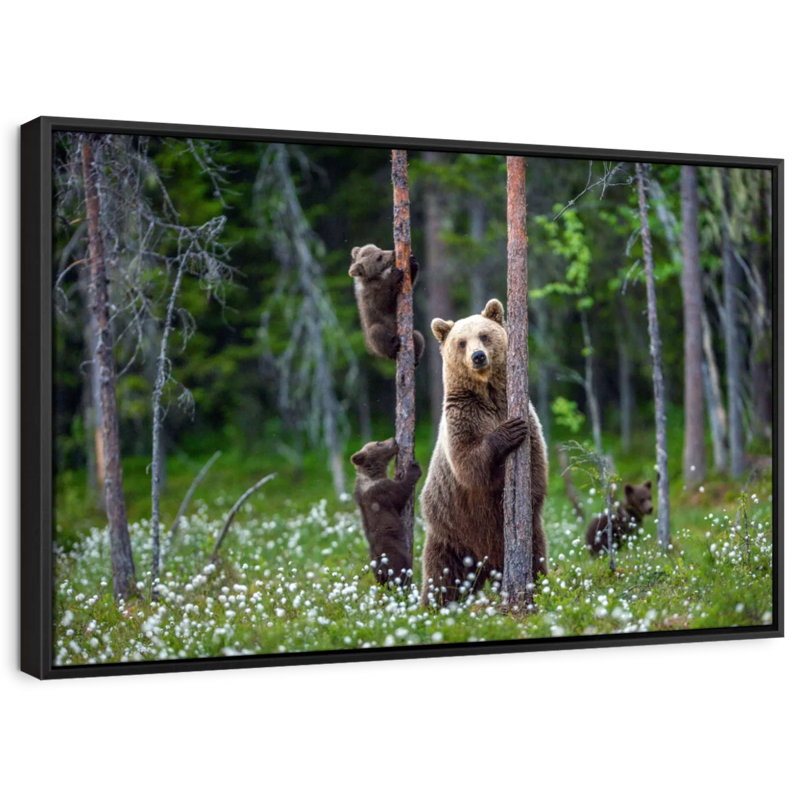 Animal «Bears In Forest», art mural, H 27 po x l 40 po