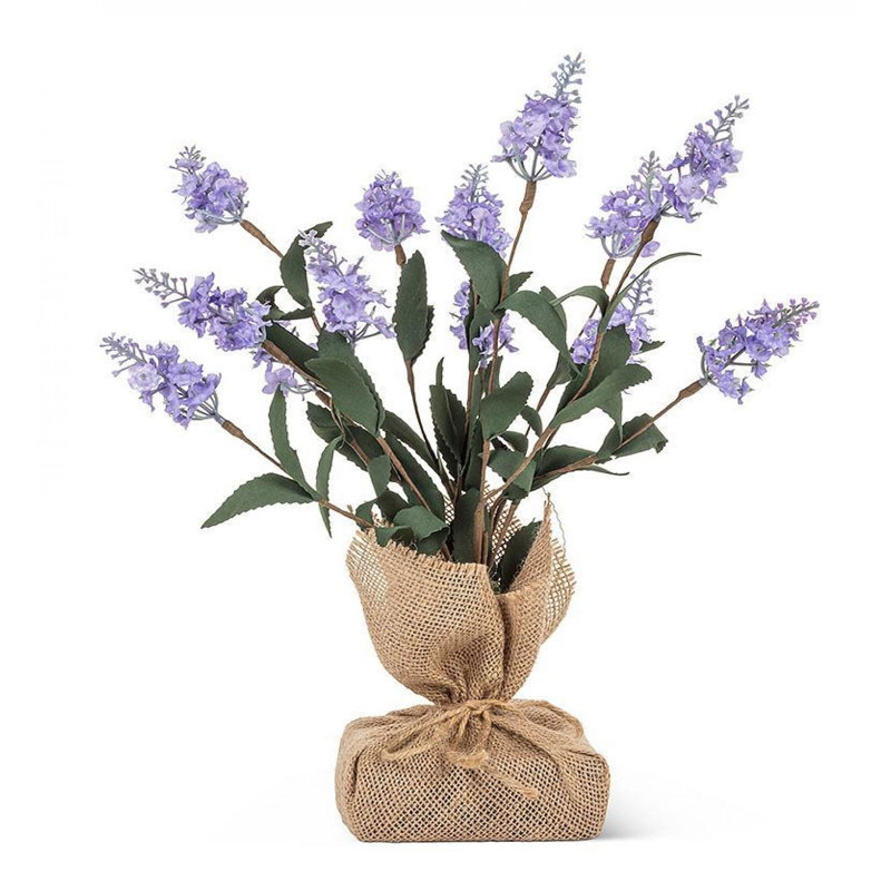 Arrangement lavande