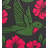 Stepping Stone - Hummingbird