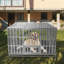 Caisse pour animaux robuste-444846781