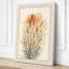 Ornamental Grass Study Botanical - Wrapped Canvas-5136500-5136502