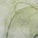 Premium Machine Washable Cerrito AMF502 Green Rug