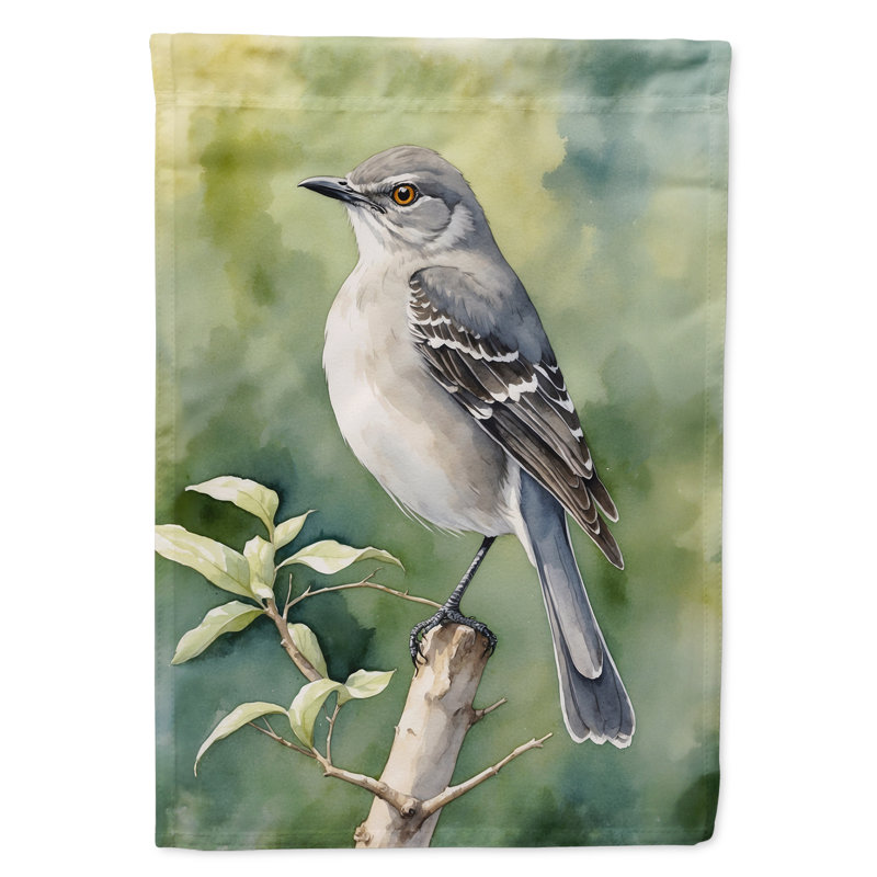 Drapeau de jardin, Moqueur de l'Arkansas