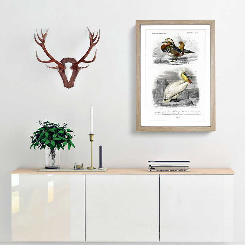 Duck and Pelican by Charles d' Orbigny - Picture Frame Painting Print, 48cm H x 36cm W x 2cm D, Oak Framed