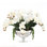 Orchid Floral Arrangement in Vase