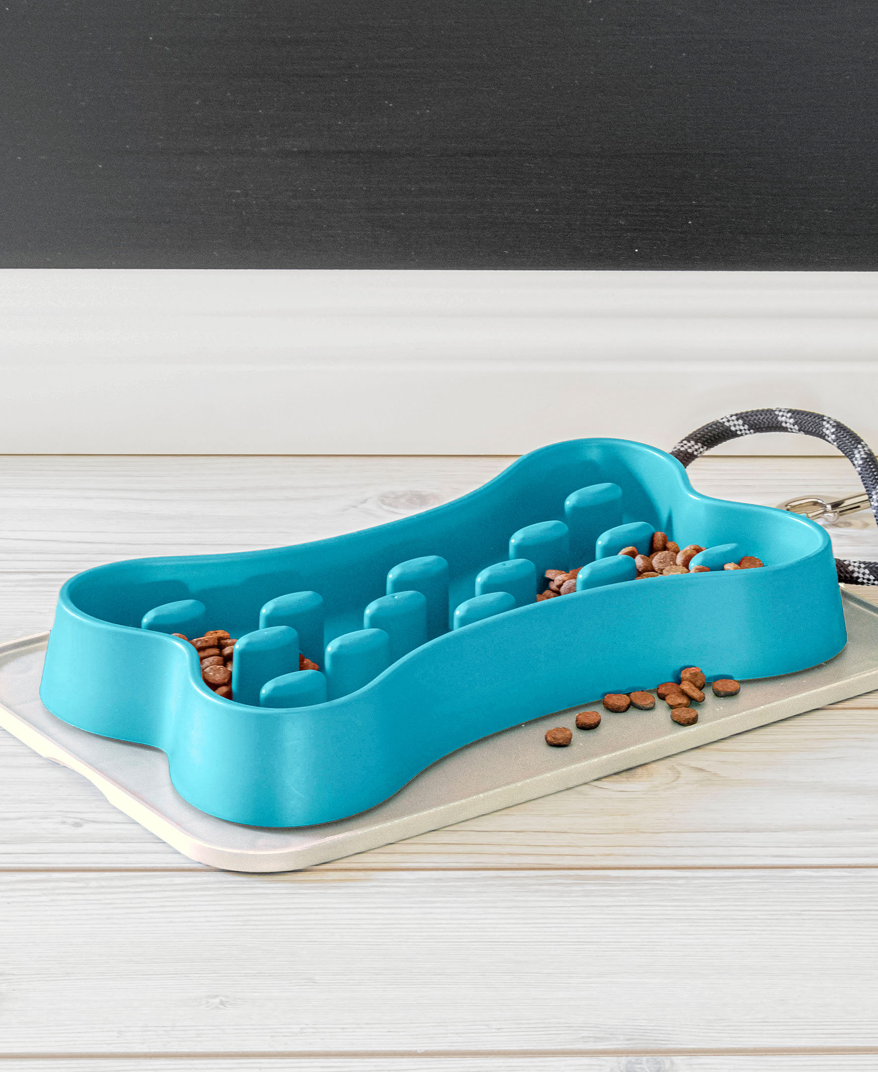 TarHong Chow Bone Feeder Red, 13.7” X 8.0” X 1.97 “/ 6 Cups - Wayfair ... - Bone Feeder For Pets With Paralysis
