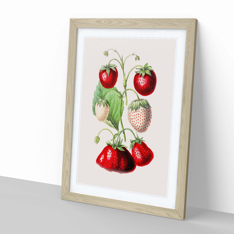An Illustration of Strawberries 1 Piece Single Picture Frame Painting, 50cm H x 35cm W x 2cm D, Oak Single Picture Frame Wood