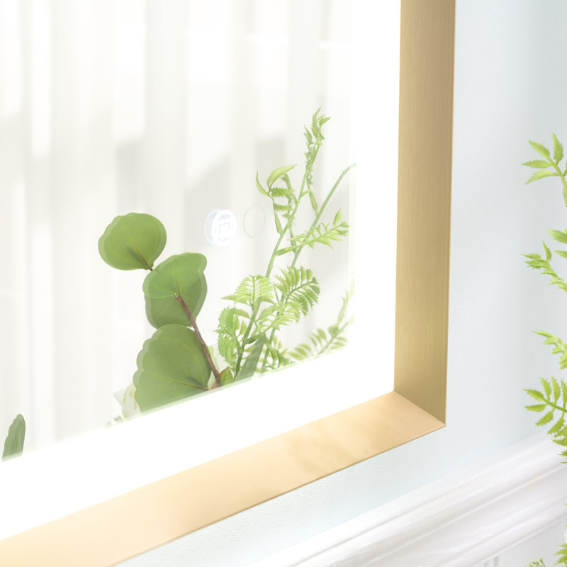 Miroir de salle de bain Edlun, Noir mat, 28 po x 60 po