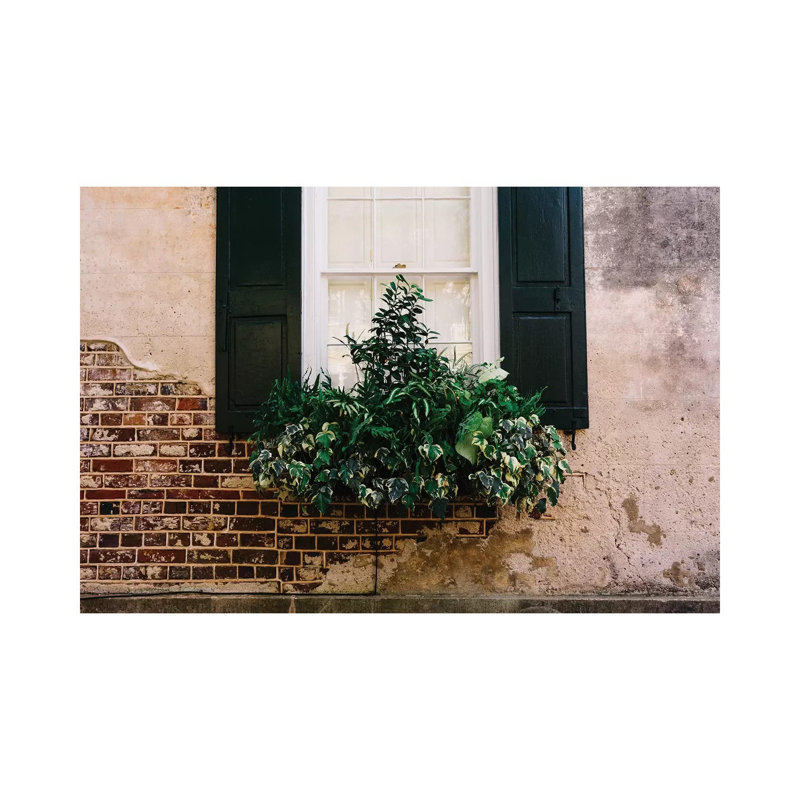 Charleston Walls IX by Bethany Young - Print on Canvas, 20.32cm H x 30.48cm W x 1.91cm D, Wrapped Canvas