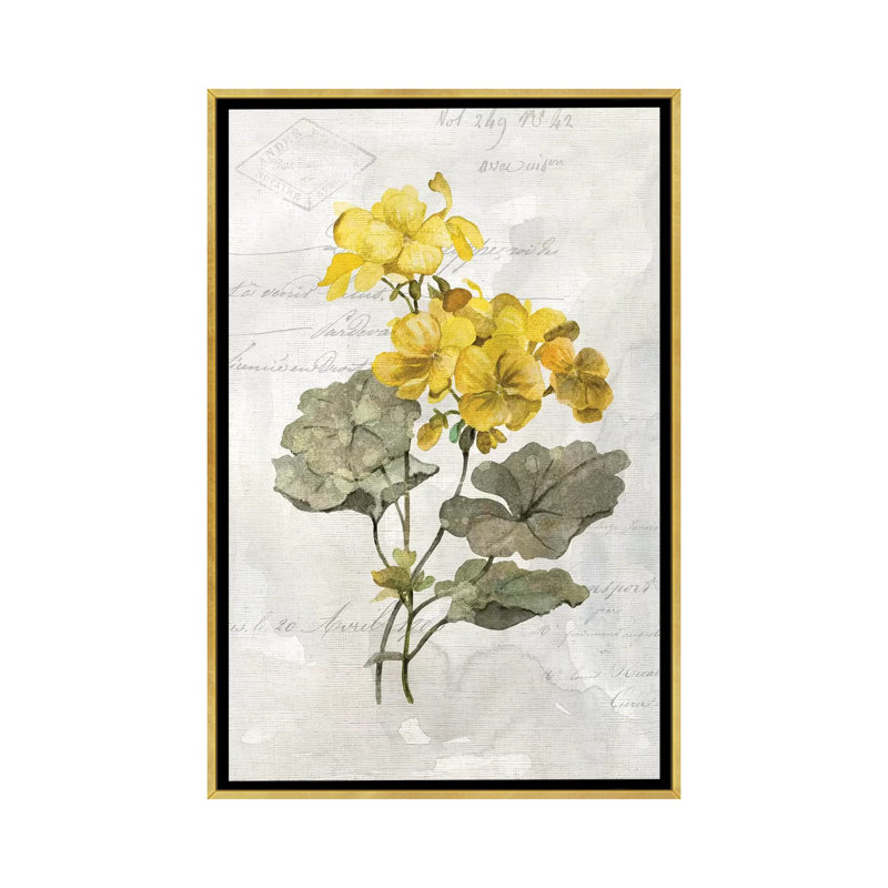 «Canary Linen Geranium» par Carol Robinson - reproduction d'art, Toile encadrée d'or, Aucun mat, H 40 po x l 26 po x P 1,5 po