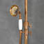 Michalak Mixer Shower with Dual Shower Head