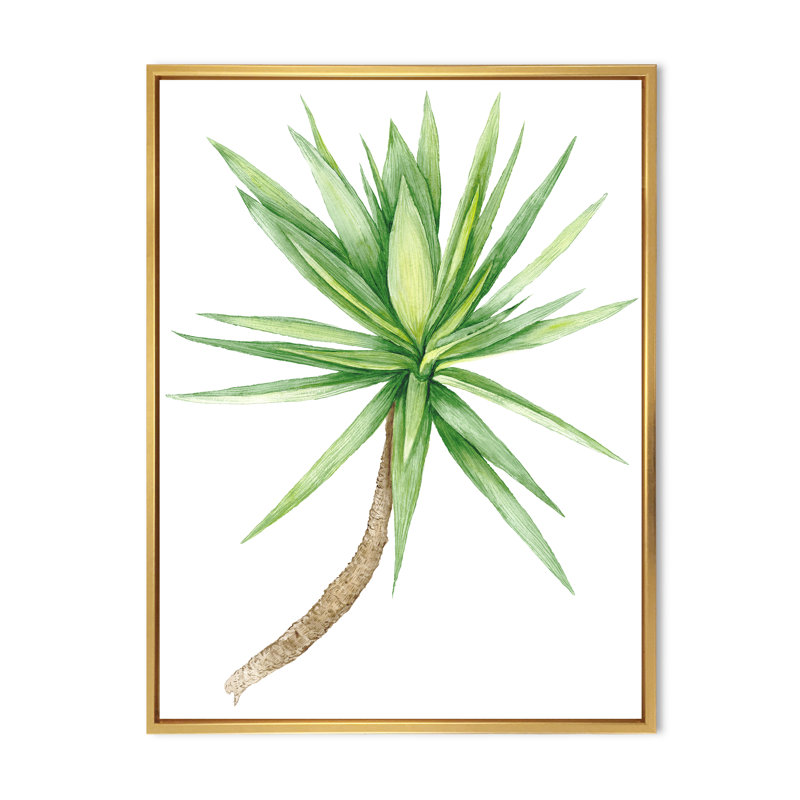 Détail d'un yucca - peinture sur toile, H 20 po x l 12 po x p 1 po, Cadre flottant doré