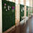 1.5 ft. H x 1.5 ft. W Artificial Ivy Polyethylene Privacy Screen