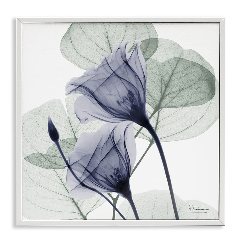 «Serene Tulips & Herbs», dessin par Albert Koetsier, H 17 po x l 17 po, Estampe numérique encadrée blanc bord de mer