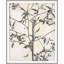 Inscrutible Botany 1 Print by Darrell Kincer-824573350