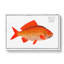 Goldfish by M.E. Bloch - Wrapped Canvas-55316354
