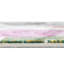 Floral Indoor Rug-71270443