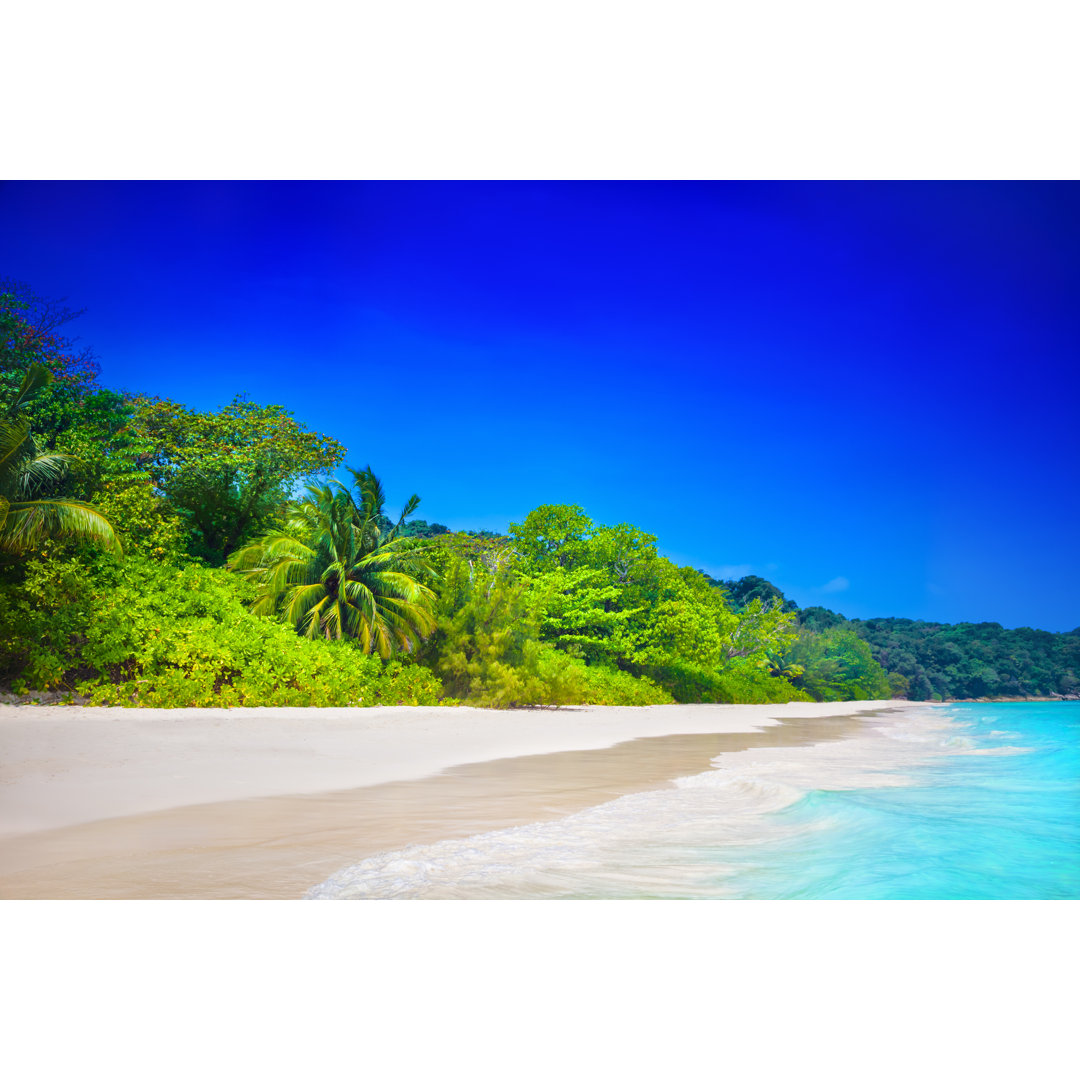 Beach by Adisa - Wrapped Canvas Print