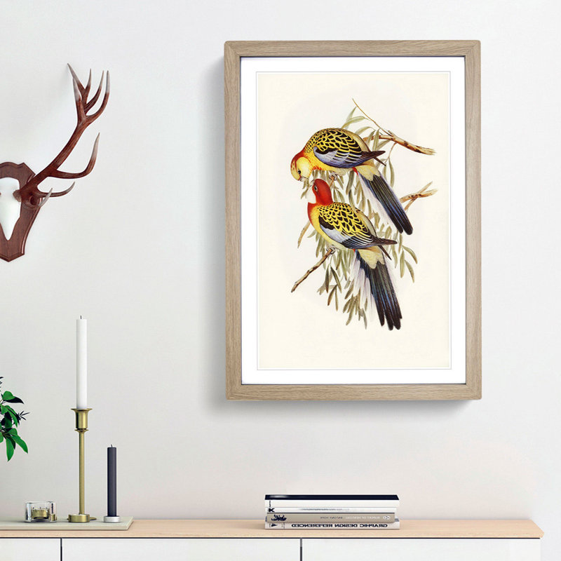 Splendid Parakeets by Elizabeth Gould - Picture Frame Painting Print, Oak Framed, 48cm H x 36cm W x 2cm D