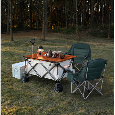 Sravani Folding Camping Chair by Arlmont & Co.