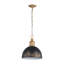 Luminaire suspendu 1 lumière Regena-106853597