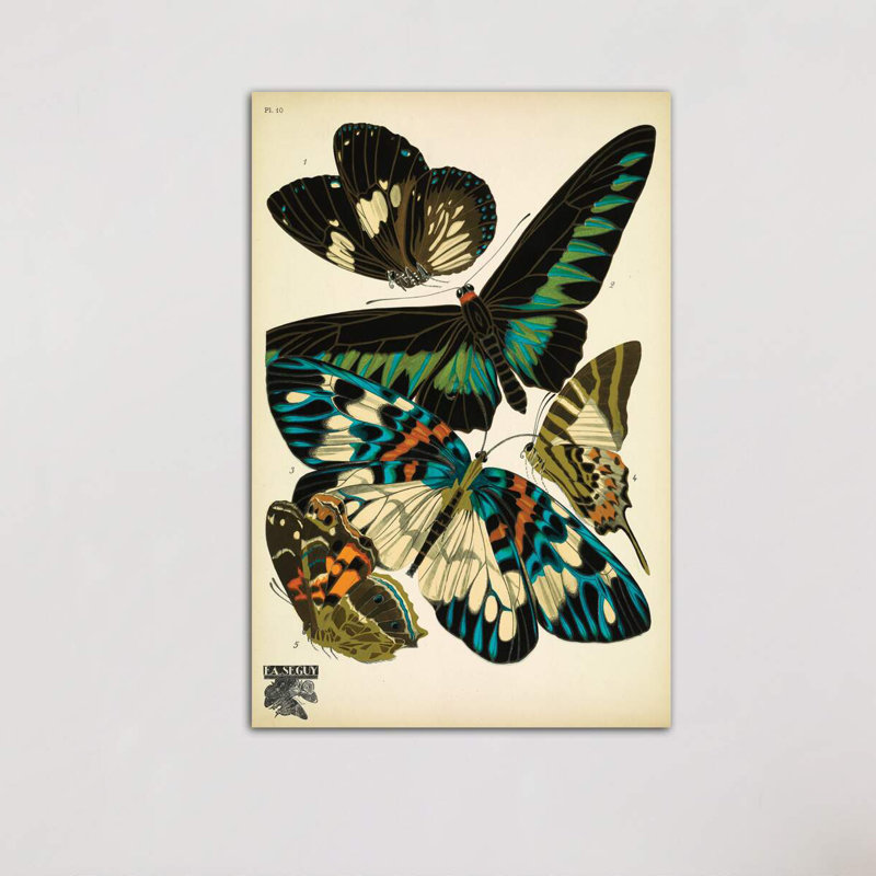 Papillons (Butterflies) X by E.A. Séguy - Wrapped Canvas Print, 152.5 cm H x 101.5 cm W