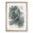 Oak Framed selected