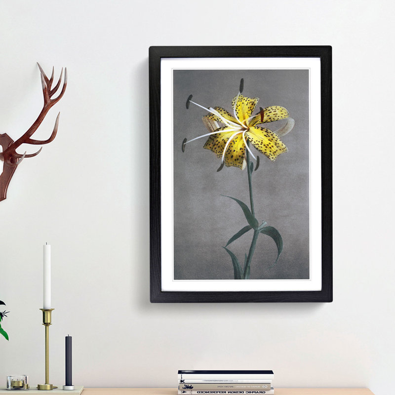 Yellow Lily by Kazumasa Ogawa - Picture Frame Painting Print, Black Framed, 48cm H x 36cm W x 2cm D