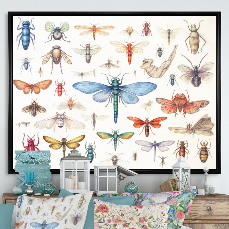 «Tiny Insect Wonders I», reproduction sur toile, H 12 po x l 20 po x P 1 po, Cadre flottant noir