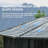 Solarium octogonal 13 po x 13 po