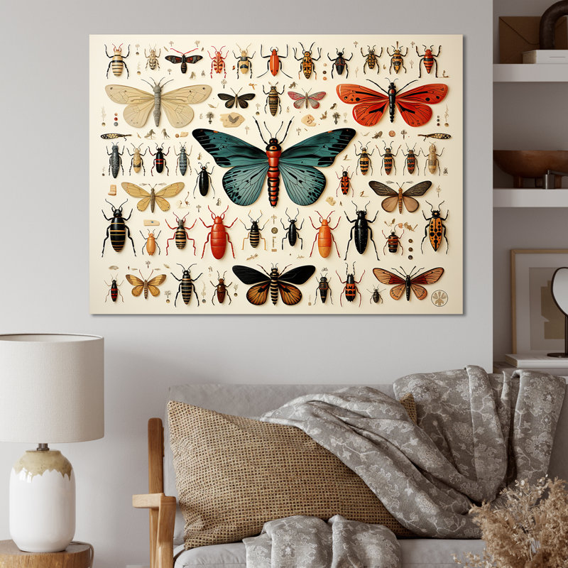 Insectes et insectes bleus et oranges - Insectes et insectes muraux, Toile tendue, H 30 po x l 40 po x P 1,5 po