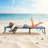 Lorali Outdoor Metal Chaise Lounge-647070610