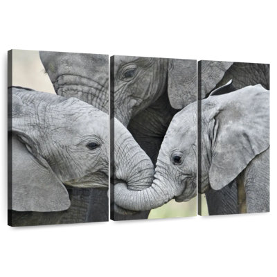 Éléphants d'Afrique Brampt - Brampt - Tanzanie